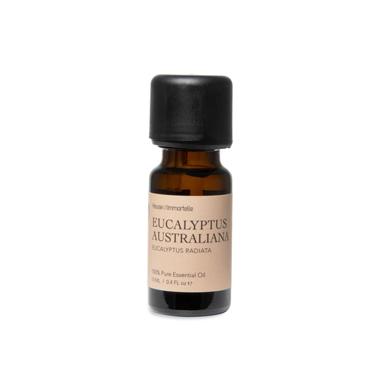 Clear glass bottle of Pure Eucalyptus Australiana Essential Oil with a green label, surrounded by fresh eucalyptus leaves, capturing the refreshing, invigorating aroma of the Australian eucalyptus plant